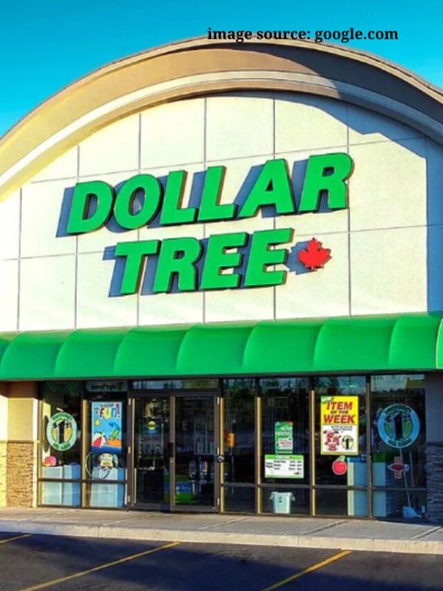 10-things-you-should-be-buying-at-dollar-tree-in-november-2023